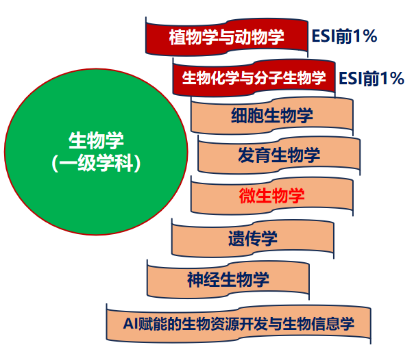 image2.png